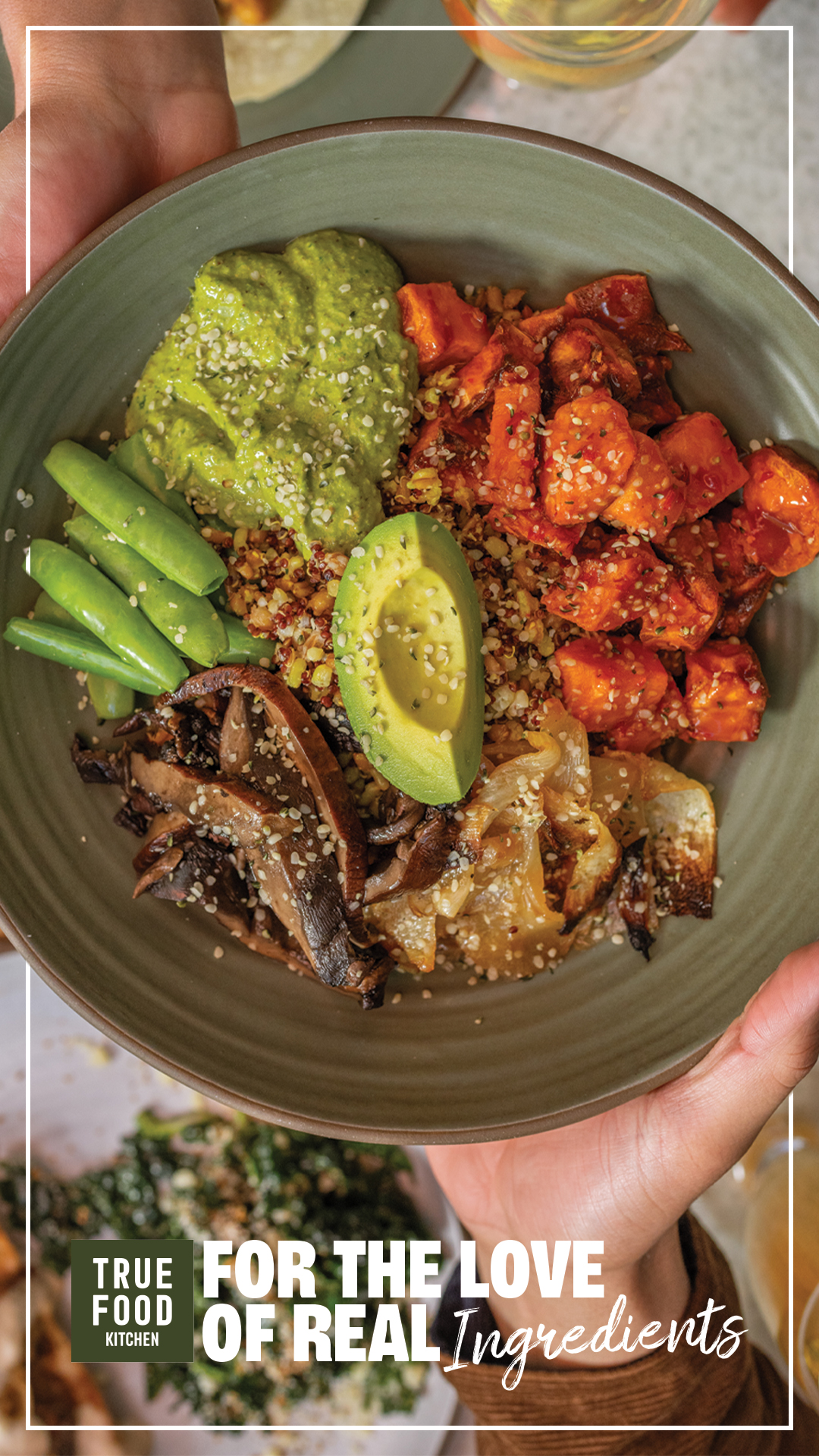 True Food Kitchen: Campaigns