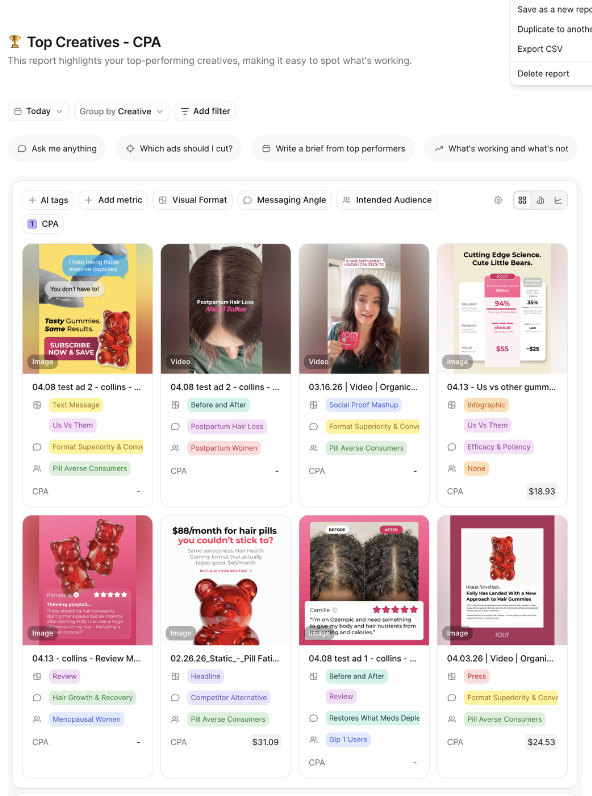 Folly Nutrition — Performance marketing & paid ads engine